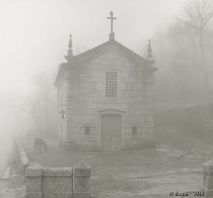 Horse and church in fog - Portugal.jpg
